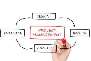 Project Manager